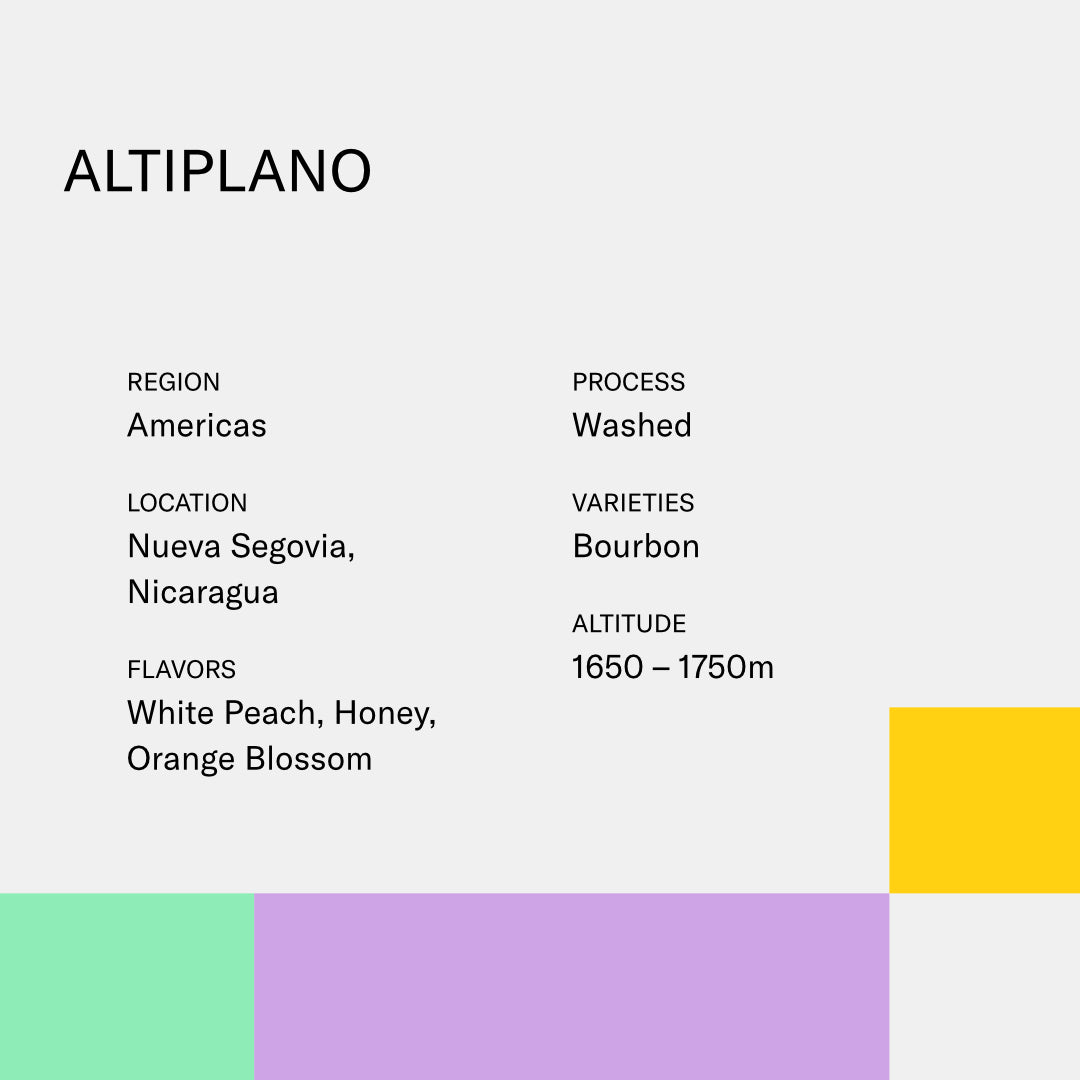 ALTIPLANO